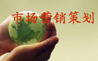 市場(chǎng)營銷策劃 成功品牌的戰(zhàn)略藍(lán)圖